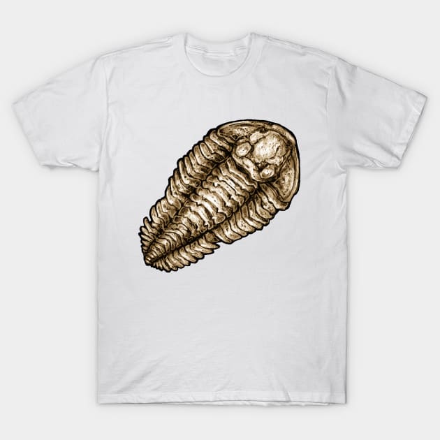 Calymene Trilobite Fossil Sticker T-Shirt by CassWArt